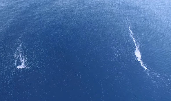 Oceans: The trail of fish left behind the vessel